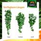 Preview: TERRARIUM PLANTS – Kunststoffplanzen